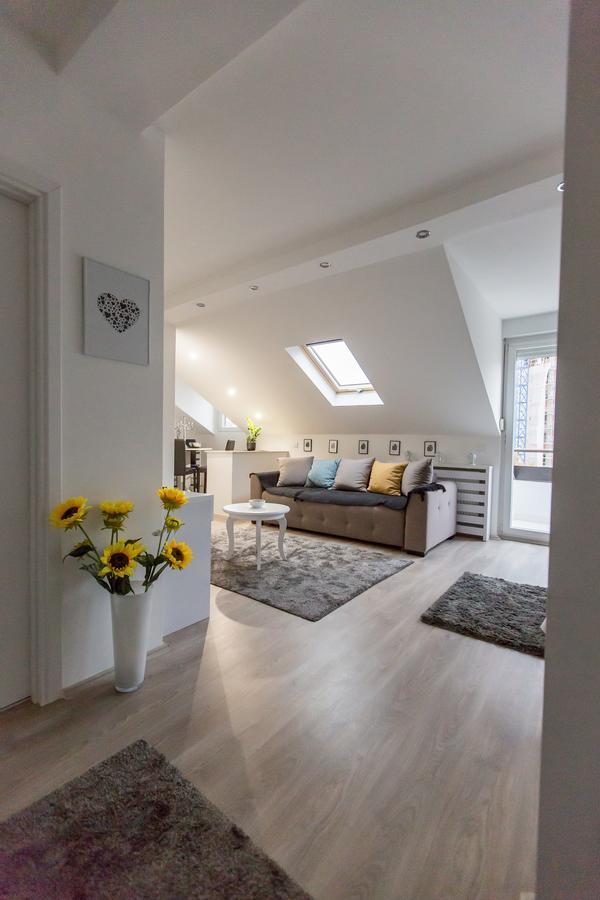 Stan Na Dan Angel Apartamento Novi Sad Exterior foto