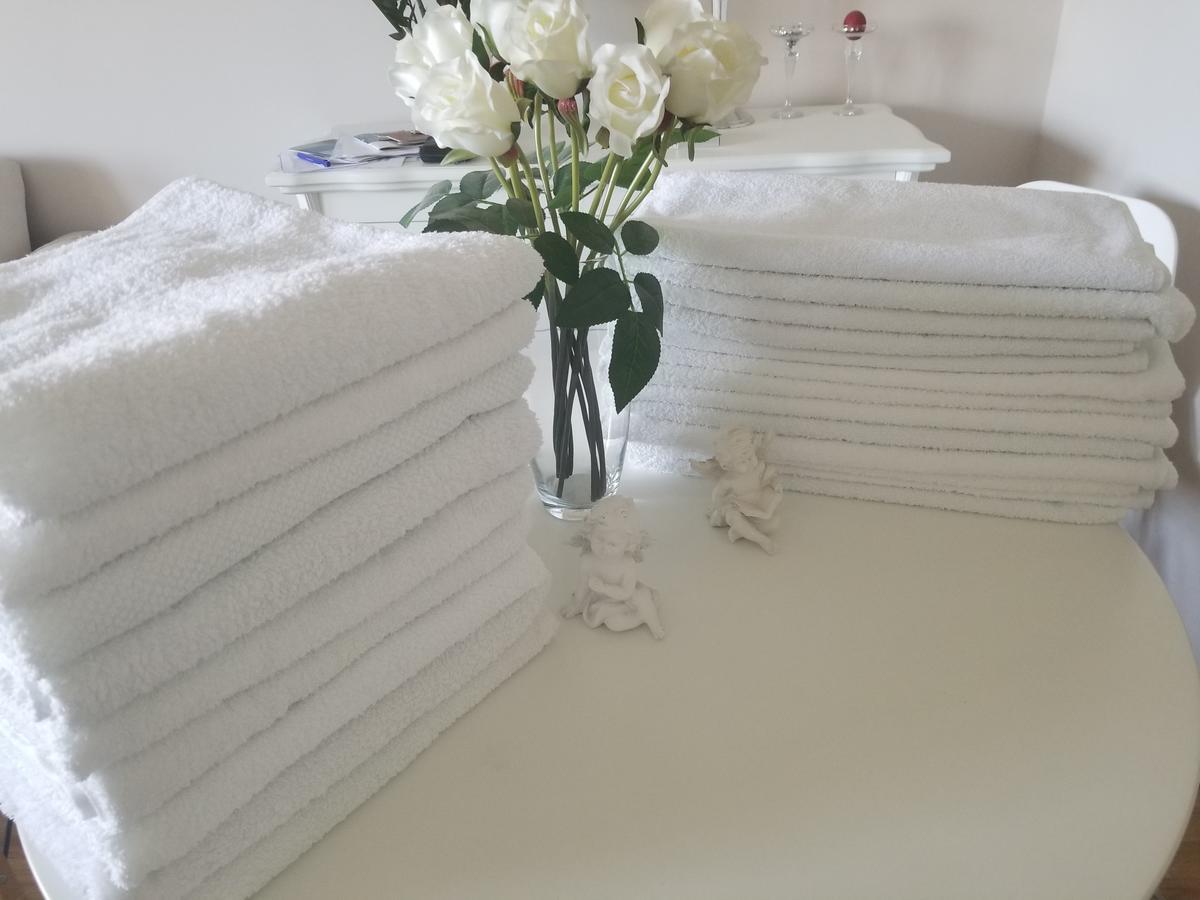Stan Na Dan Angel Apartamento Novi Sad Exterior foto